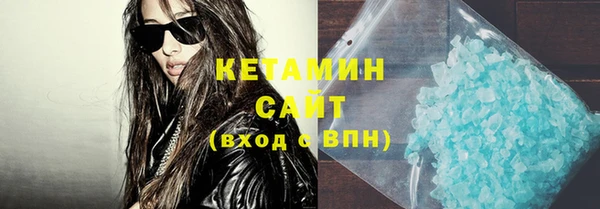 молекула духа Вяземский
