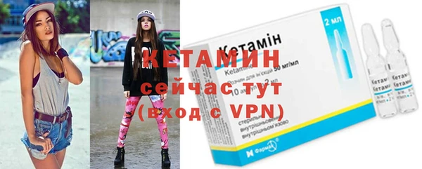 молекула духа Вяземский
