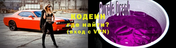 молекула духа Вяземский