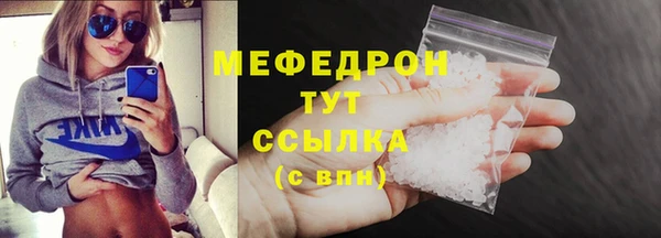 молекула духа Вяземский