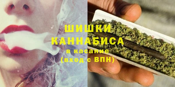молекула духа Вяземский