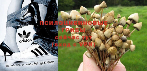 молекула духа Вяземский