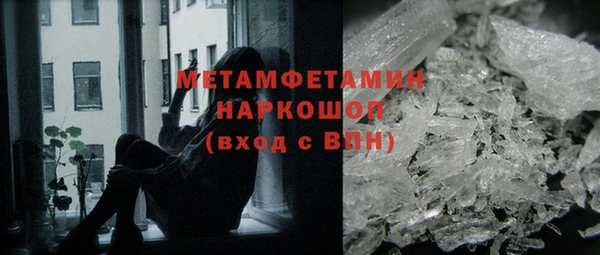 молекула духа Вяземский