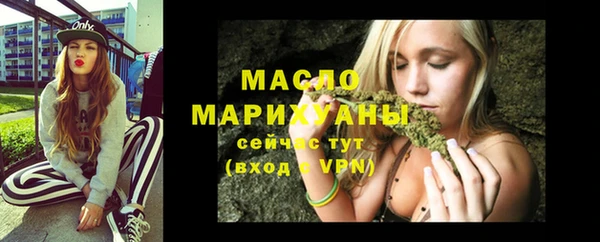 молекула духа Вяземский
