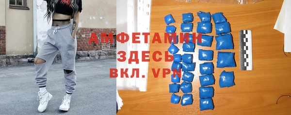 молекула духа Вяземский