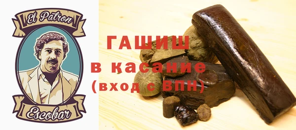 молекула духа Вяземский